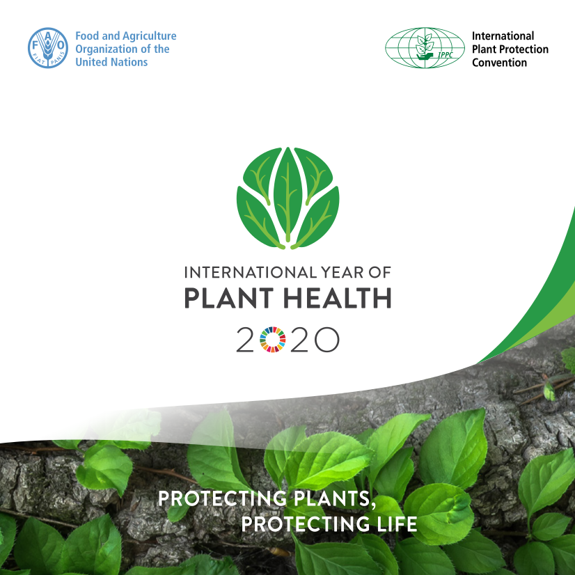 Plant protection. Плант Протектион. Plant Protection logo. National Plant Protection Organization. International Convention on Plant Protection.