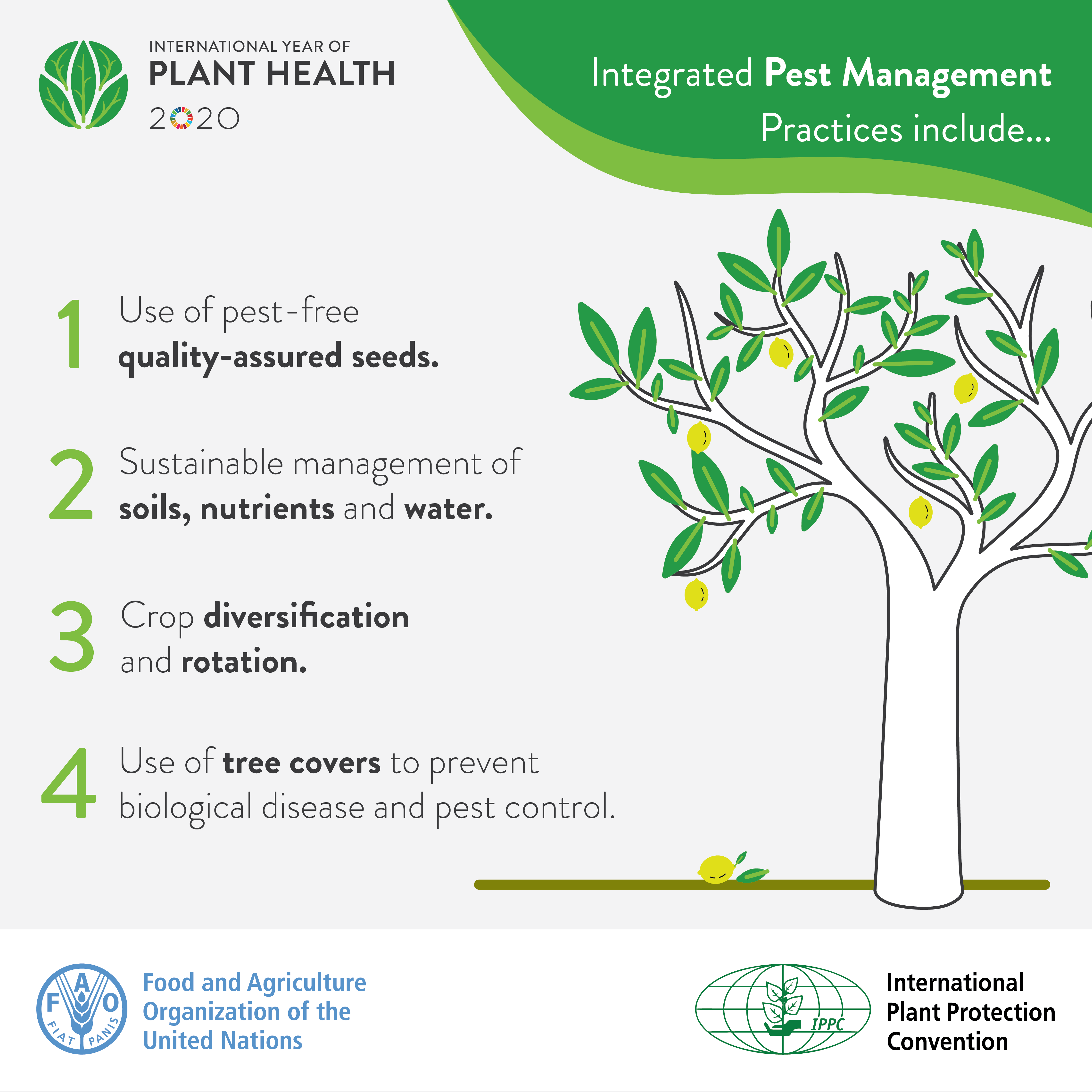 International Year of Plant Healthpotatocertification